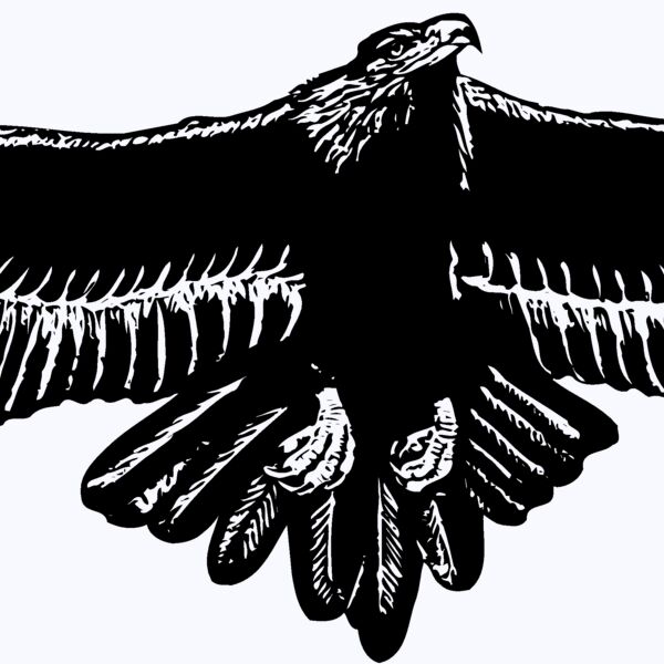 EAGLE010 Thumbnail