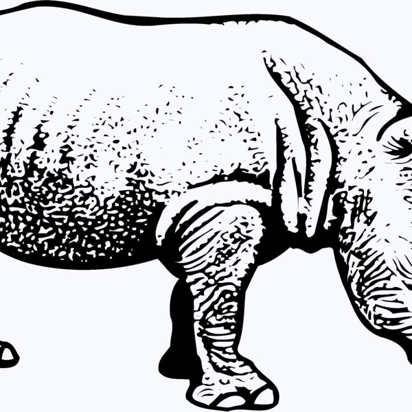 RHINO001 Thumbnail